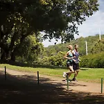パーク プラザ ヒストリア